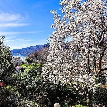 Residenza La Motta Pettenasco